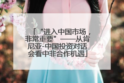 “进入中国市场，非常重要”——从肯尼亚-中国投资对话会看中非合作机遇