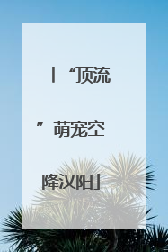 “顶流”萌宠空降汉阳