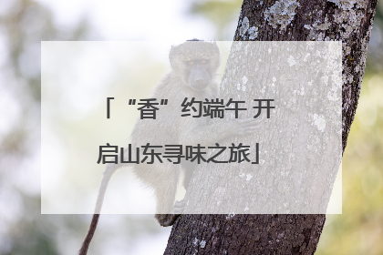 “香”约端午 开启山东寻味之旅