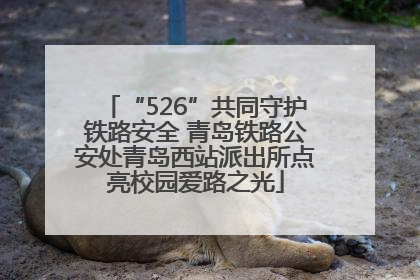 “526”共同守护铁路安全 青岛铁路公安处青岛西站派出所点亮校园爱路之光