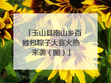 玉山县南山乡百姓包粽子大赛火热来袭（图）