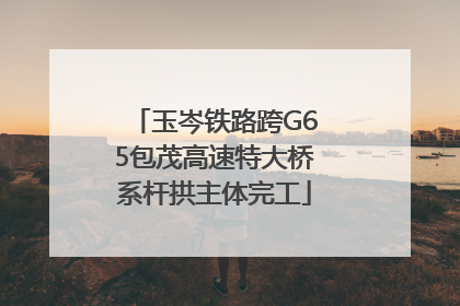 玉岑铁路跨G65包茂高速特大桥系杆拱主体完工