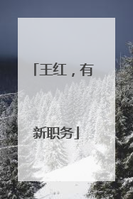 王红，有新职务