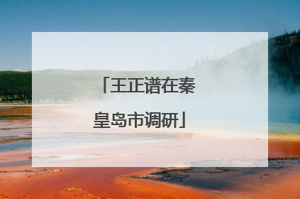 王正谱在秦皇岛市调研