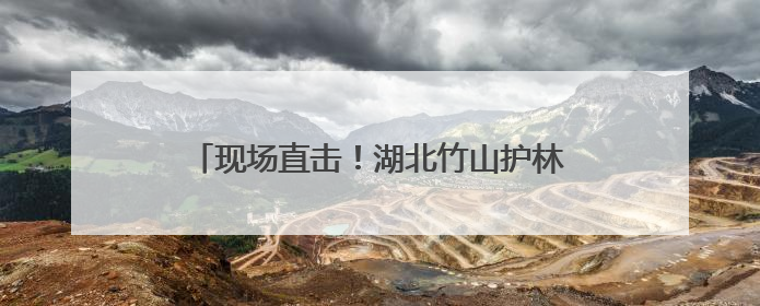 现场直击！湖北竹山护林员实拍国家二级保护动物