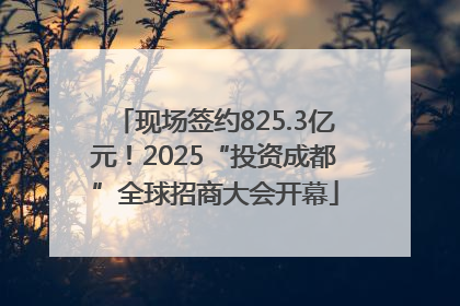 现场签约825.3亿元！2025“投资成都”全球招商大会开幕