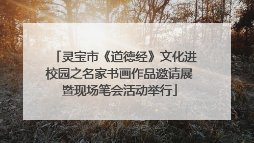 灵宝市《道德经》文化进校园之名家书画作品邀请展暨现场笔会活动举行