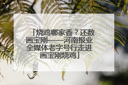 烧鸡哪家香？还数画宝刚——河南报业全媒体老字号行走进画宝刚烧鸡