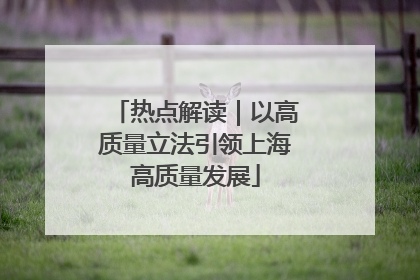 热点解读｜以高质量立法引领上海高质量发展