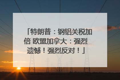特朗普：钢铝关税加倍 欧盟加拿大：强烈遗憾！强烈反对！