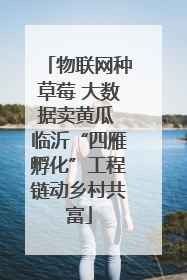 物联网种草莓 大数据卖黄瓜 临沂“四雁孵化”工程链动乡村共富