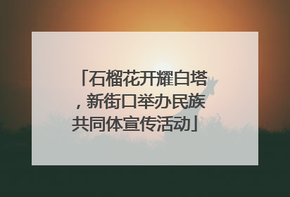 石榴花开耀白塔，新街口举办民族共同体宣传活动