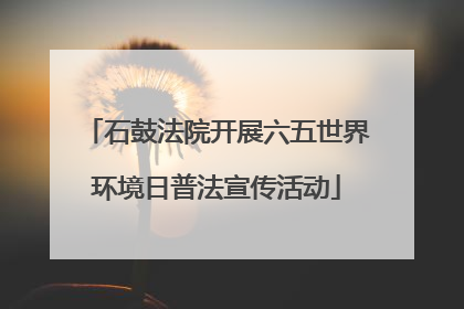 石鼓法院开展六五世界环境日普法宣传活动