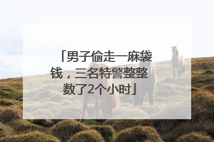 男子偷走一麻袋钱，三名特警整整数了2个小时