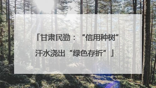 甘肃民勤：“信用种树” 汗水浇出“绿色存折”