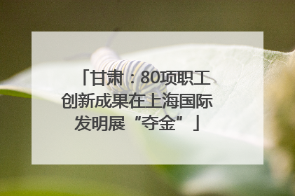 甘肃：80项职工创新成果在上海国际发明展“夺金”