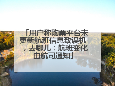 用户称购票平台未更新航班信息致误机，去哪儿：航班变化由航司通知