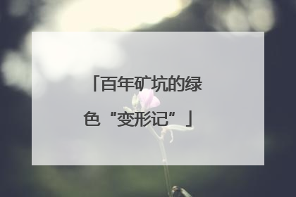 百年矿坑的绿色“变形记”