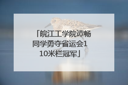 皖江工学院谭畅同学勇夺省运会110米栏冠军