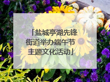 盐城亭湖先锋街道举办端午节主题文化活动