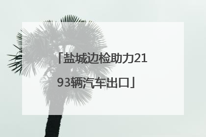 盐城边检助力2193辆汽车出口