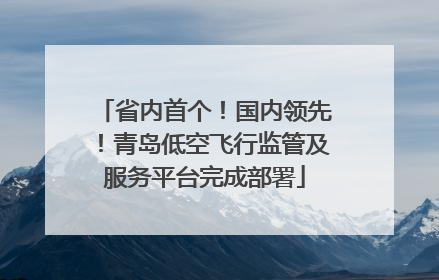 省内首个！国内领先！青岛低空飞行监管及服务平台完成部署