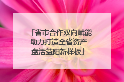 省市合作双向赋能 助力打造全省资产盘活益阳新样板
