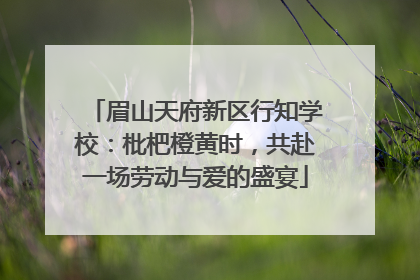 眉山天府新区行知学校：枇杷橙黄时，共赴一场劳动与爱的盛宴