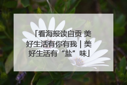 看海报读自贡 美好生活有你有我｜美好生活有“盐”味