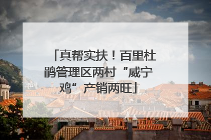 真帮实扶！百里杜鹃管理区两村“威宁鸡”产销两旺