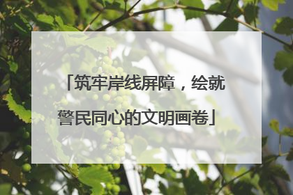 筑牢岸线屏障，绘就警民同心的文明画卷