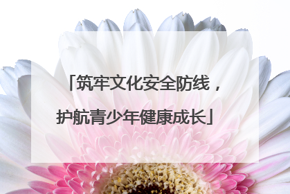 筑牢文化安全防线，护航青少年健康成长