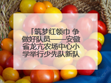 筑梦红领巾 争做好队员——安徽省龙亢农场中心小学举行少先队新队员入队仪式