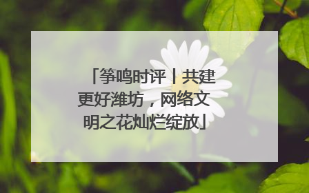 筝鸣时评丨共建更好潍坊，网络文明之花灿烂绽放