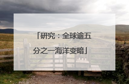 研究：全球逾五分之一海洋变暗