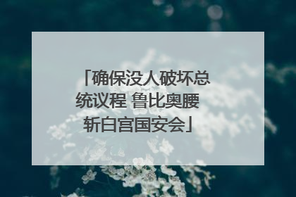 确保没人破坏总统议程 鲁比奥腰斩白宫国安会