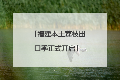 福建本土荔枝出口季正式开启