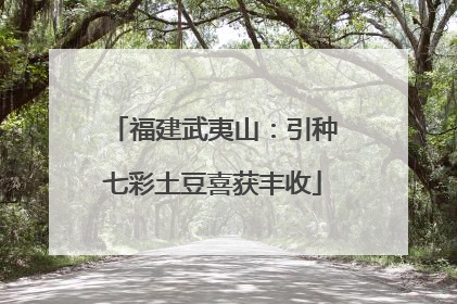 福建武夷山：引种七彩土豆喜获丰收