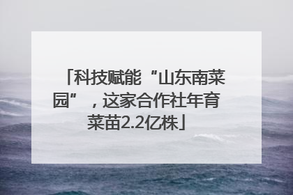 科技赋能“山东南菜园”，这家合作社年育菜苗2.2亿株