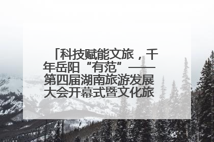 科技赋能文旅，千年岳阳“有范”——第四届湖南旅游发展大会开幕式暨文化旅游推介会侧记