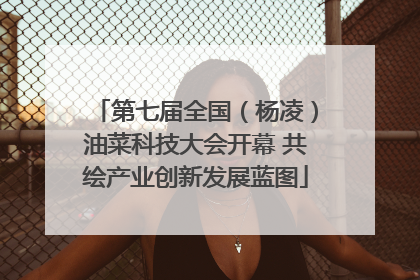 第七届全国（杨凌）油菜科技大会开幕 共绘产业创新发展蓝图