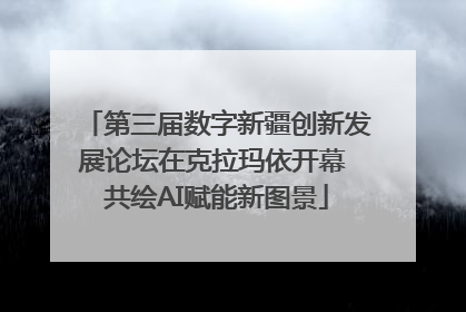 第三届数字新疆创新发展论坛在克拉玛依开幕 共绘AI赋能新图景