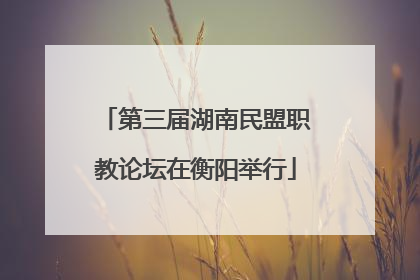 第三届湖南民盟职教论坛在衡阳举行