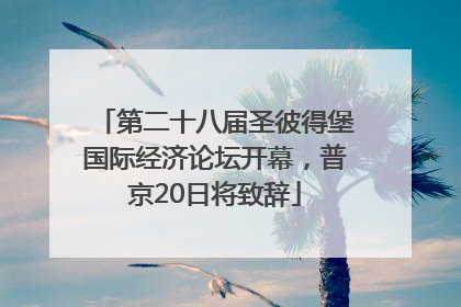 第二十八届圣彼得堡国际经济论坛开幕，普京20日将致辞