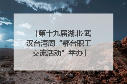 第十九届湖北·武汉台湾周“鄂台职工交流活动”举办