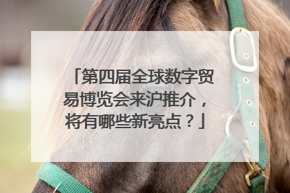 第四届全球数字贸易博览会来沪推介，将有哪些新亮点？