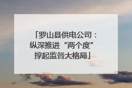 罗山县供电公司：纵深推进“两个度” 撑起监督大格局