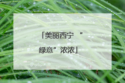 美丽西宁 “绿意”浓浓