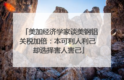美加经济学家谈美钢铝关税加倍：本可利人利己 却选择害人害己