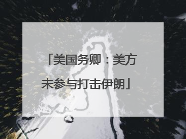 美国务卿：美方未参与打击伊朗
